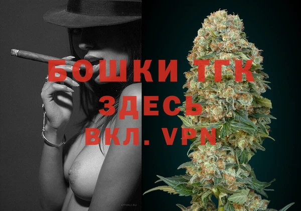 гидропоника Ельня