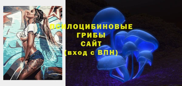 мдма Елизово
