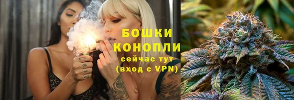 гидропоника Ельня