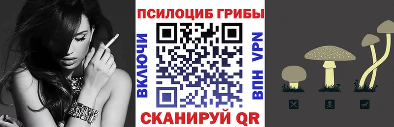 kraken зеркало  где купить наркоту  Сердобск  Псилоцибиновые грибы мухоморы 